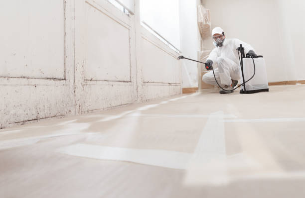 24/7 Emergency Mold Testing experts in Entriken, PA